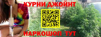 гашик Шебекино
