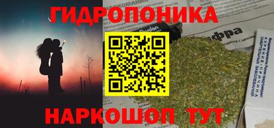 гашик Шебекино