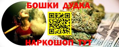 гашик Шебекино