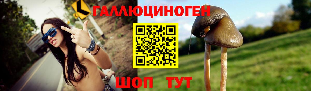 цена   Вход с VPN  Маркс  Псилоцибиновые грибы прущие грибы 