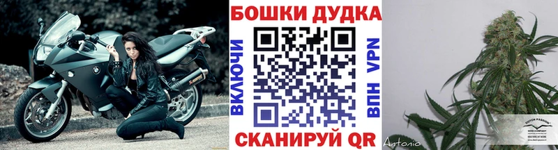 Канабис семена Маркс
